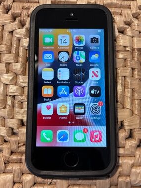 iPhone SE (1st generation)